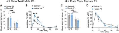 Enhanced heroin analgesic effect in male offspring of sires who self-administered heroin